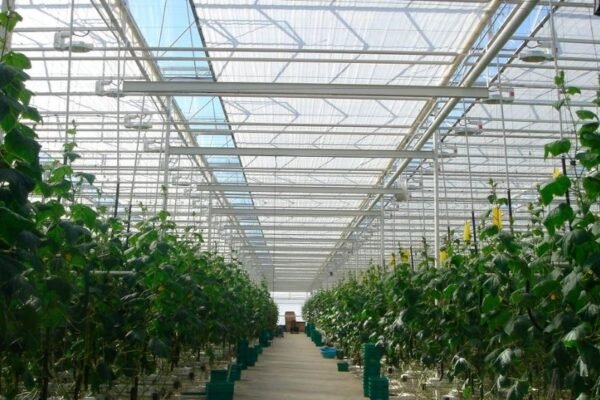 Curtain Systems - Greenly Greenhouse