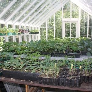 Freestanding Greenhouses