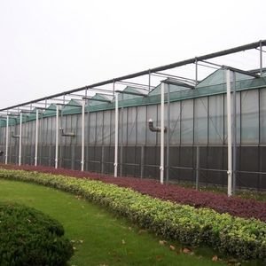 Low Profile Venlo Greenhouse