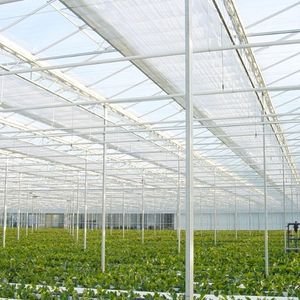 Widespan Greenhouses