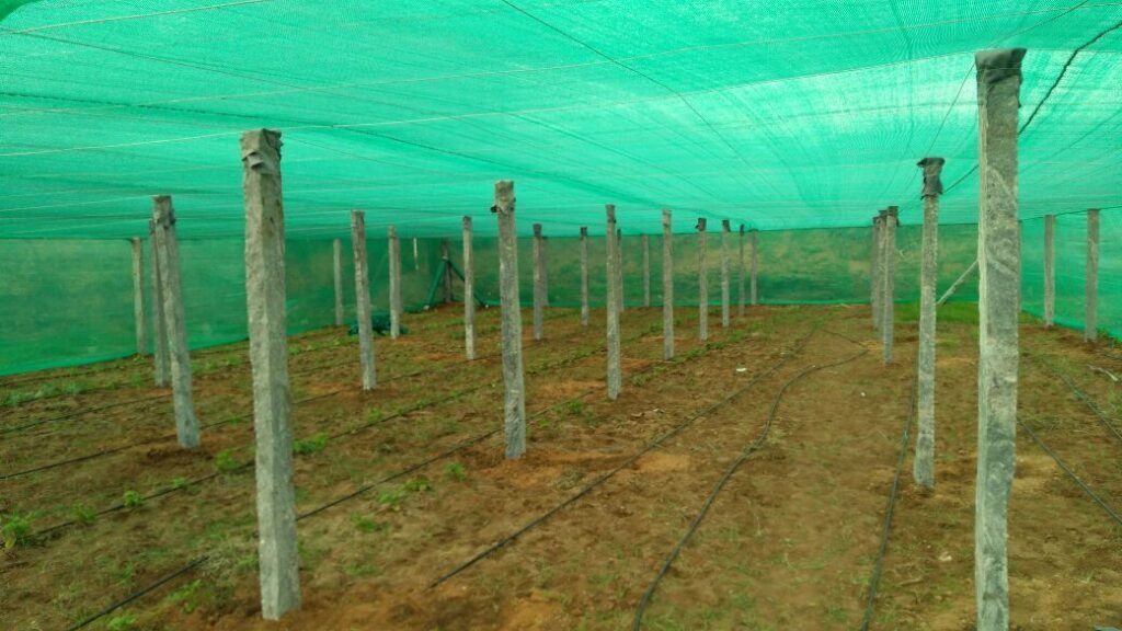 Shade Net Houses Greenly Greenhouse